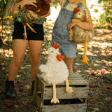 Roy The Rooster
